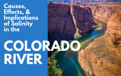 Causes, Effects, & Implications of Salinity in the Colorado River Basin