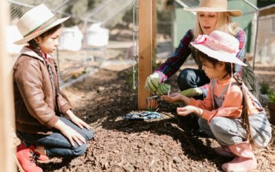Teaching Kids About Soil Salinity